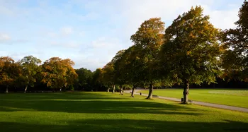 Queens Park trees alternate.jpg